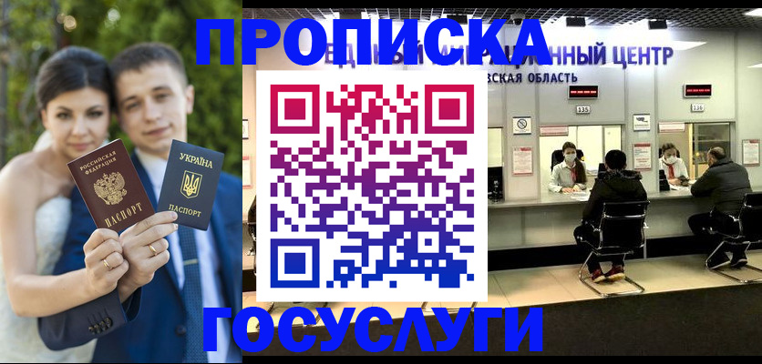 прописка штамп в Палласовке